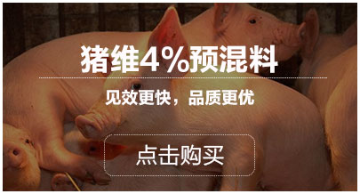 猪维4%预混料