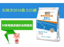 安纳杰2016鼎力巨献，M系母猪浓缩料全网首发